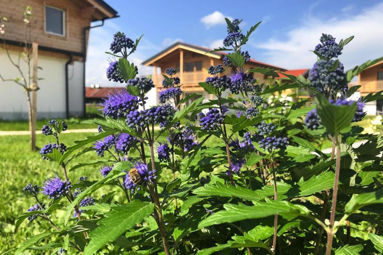Bergchalet Falkenstein, Inzell Dış mekan fotoğraf